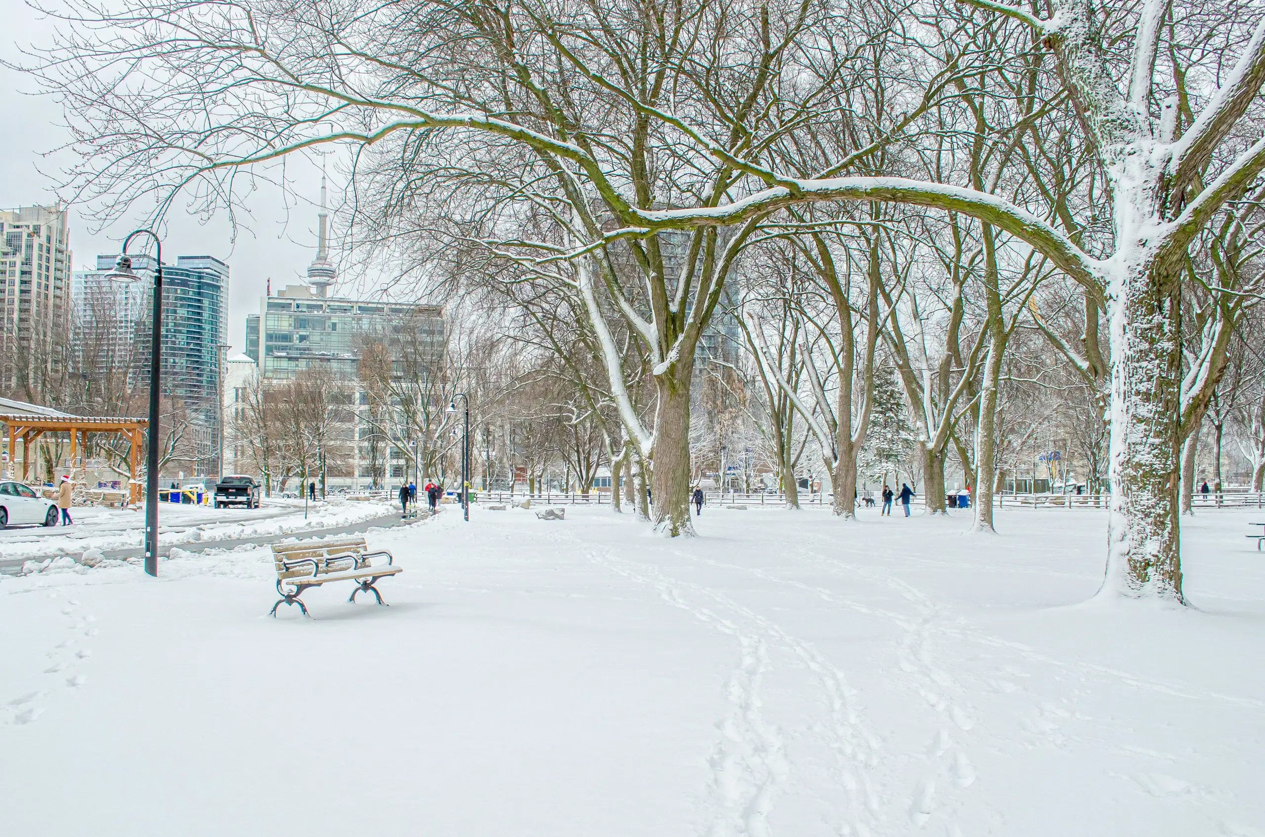 Snow-covered park in Toronto, with a bench and footprints under bare trees and the CN Tower in the distance